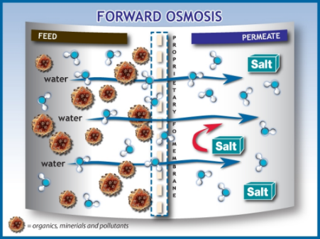 Forward Osmosis